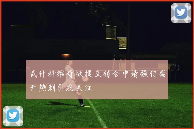 武什科维奇欲提交转会申请强行离开热刺引发关注